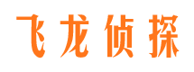 乡城侦探公司